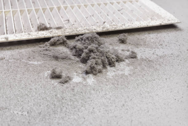 Best Affordable Duct Cleaning Services  in Roseburg, OR