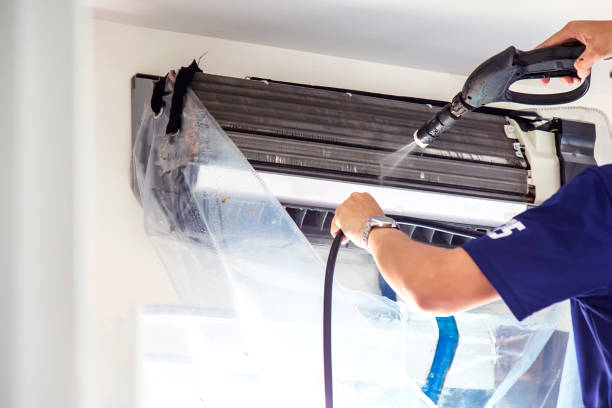 Best Air Duct Mold Removal  in Roseburg, OR