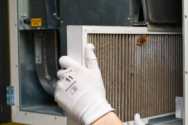 Best Residential Air Duct Cleaning  in Roseburg, OR